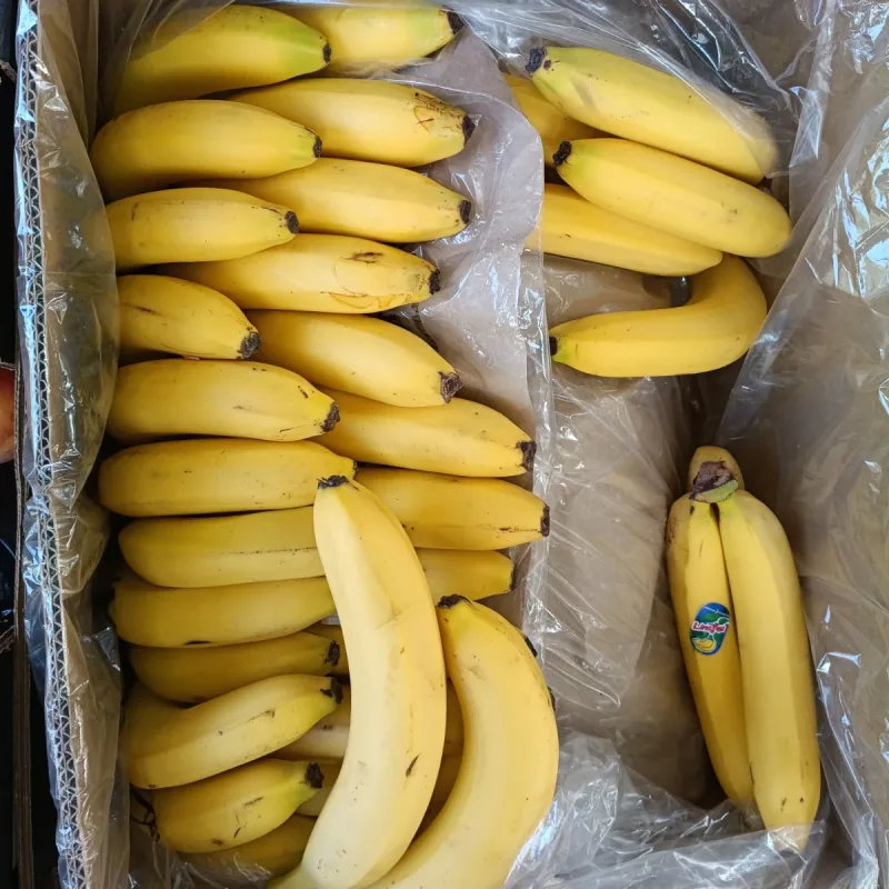 Foto de la publicación