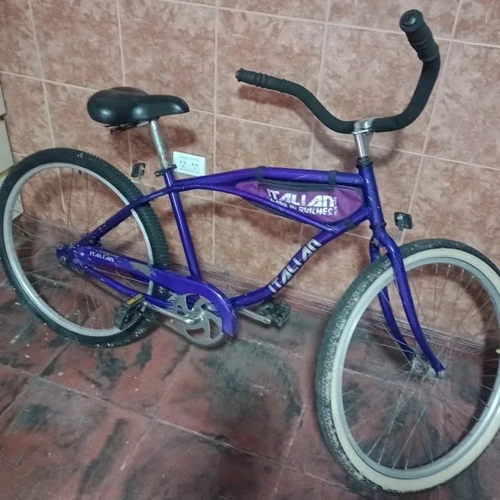 Foto de la publicación