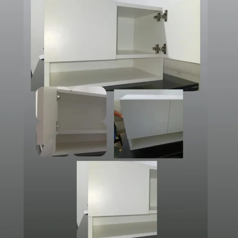 Foto de la publicación