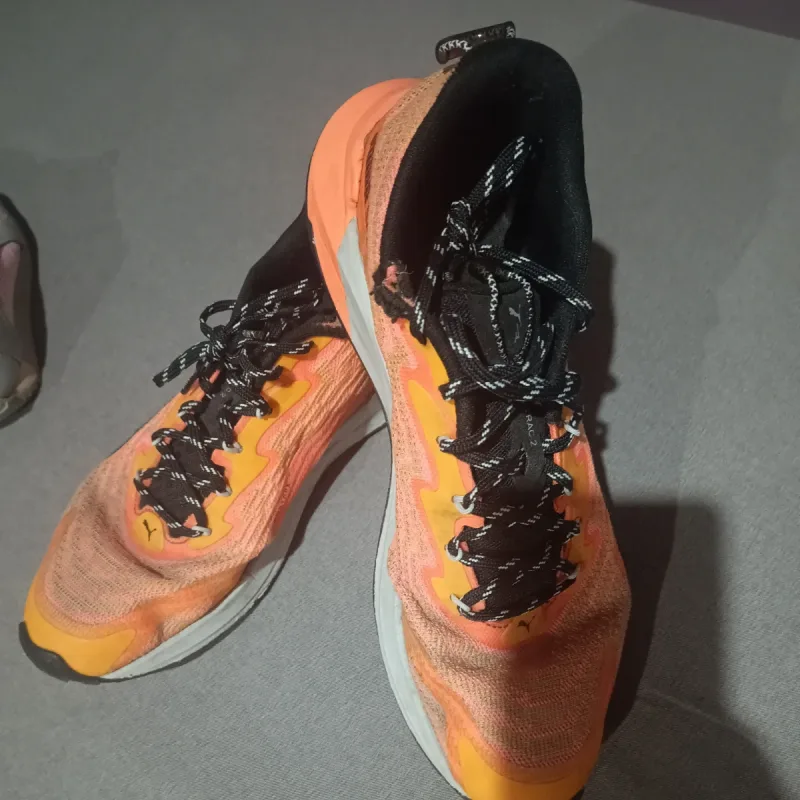 Foto de la publicación