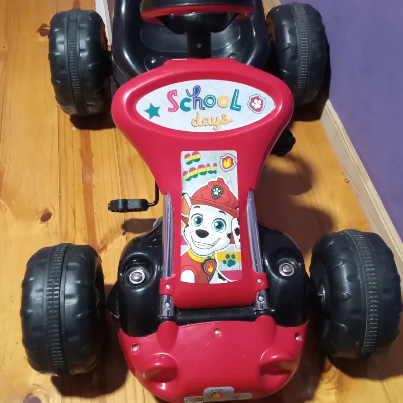 Foto de la publicación