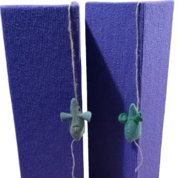 Foto de la publicación