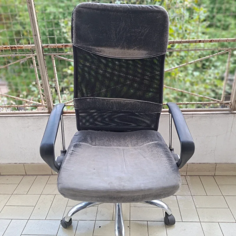 Foto de la publicación