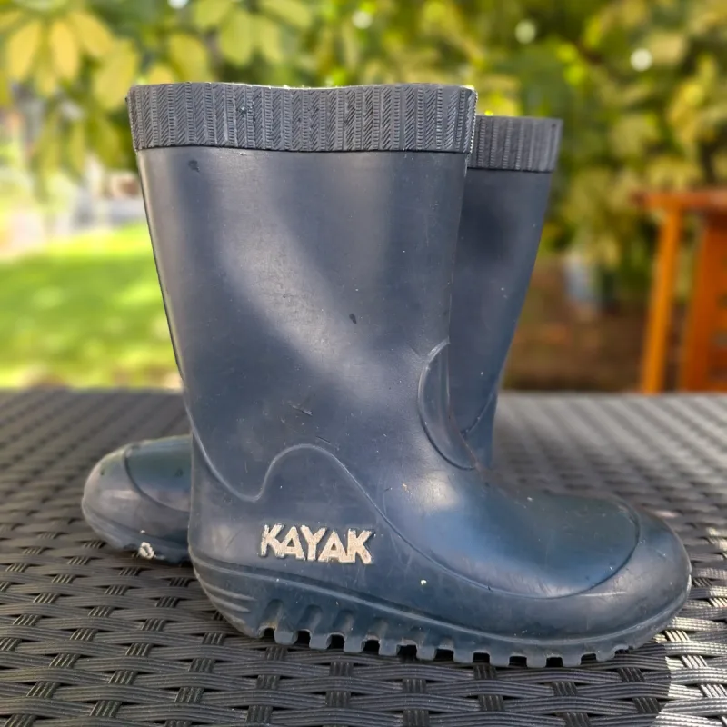 Foto de la publicación