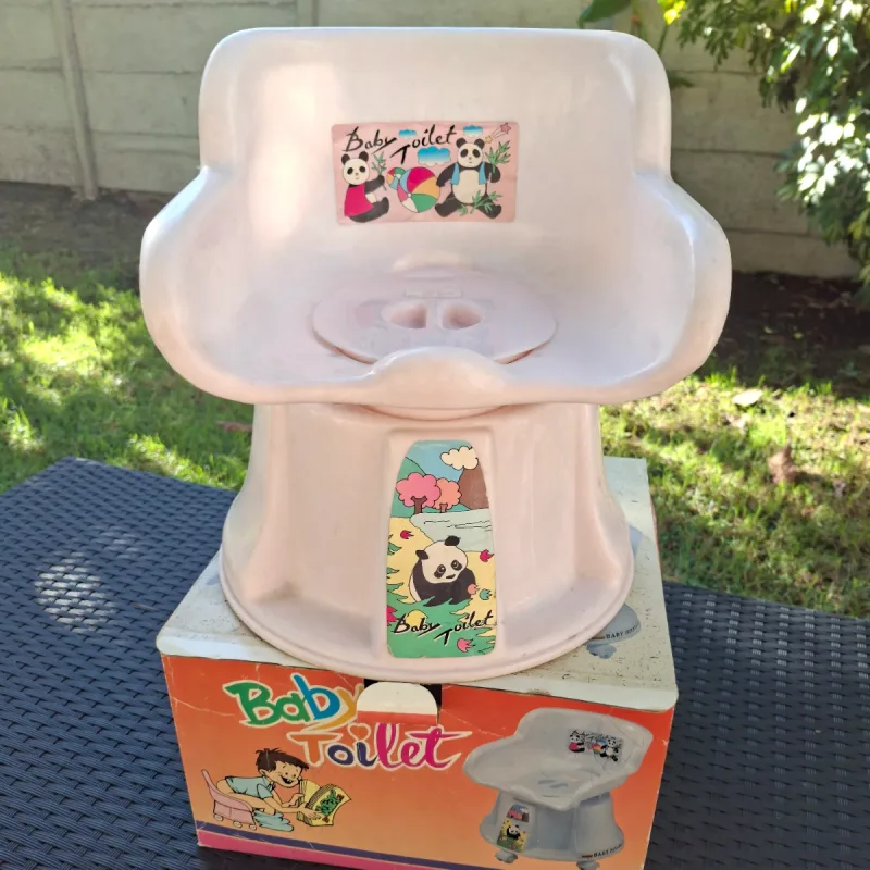 Foto de la publicación