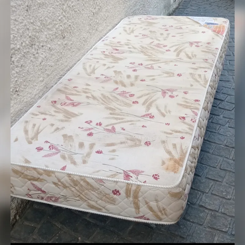 Foto de la publicación