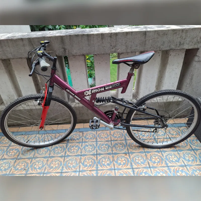 Foto de la publicación