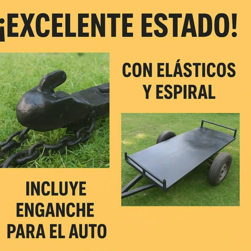 Foto de la publicación