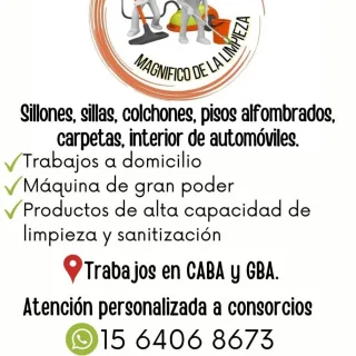 Limpieza profesional de alfombras sillones colchones interior de vehículos a domicilio