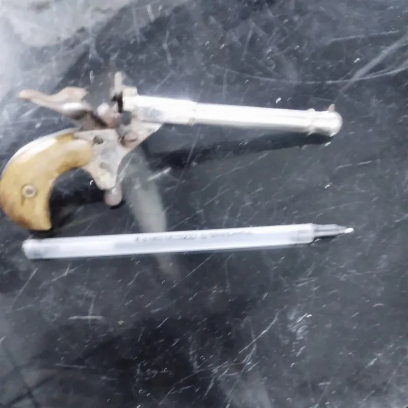 Foto de la publicación