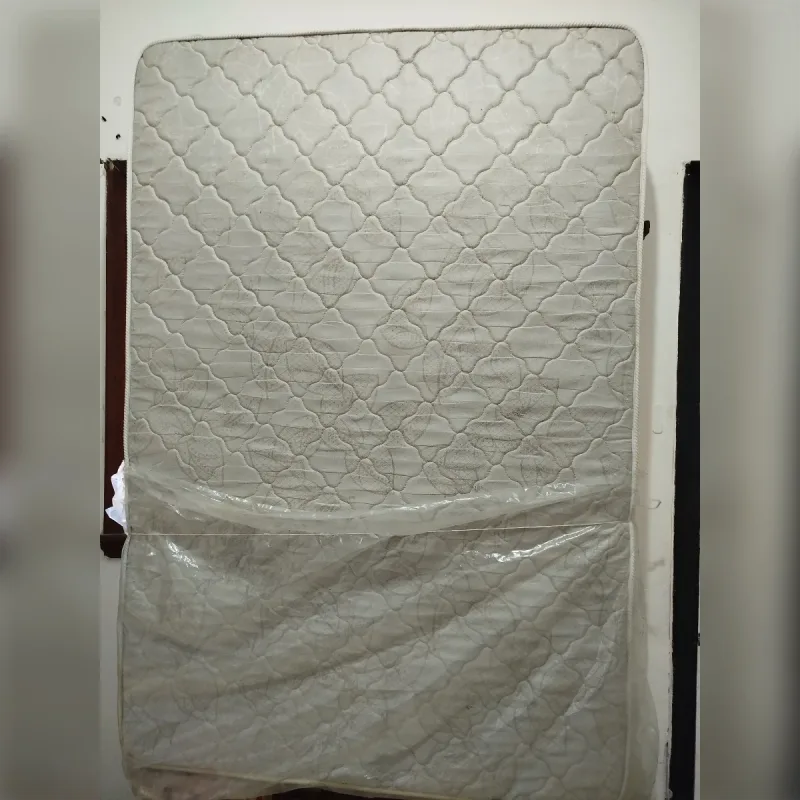 Foto de la publicación