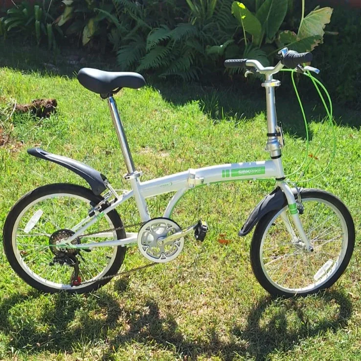 Foto de la publicación