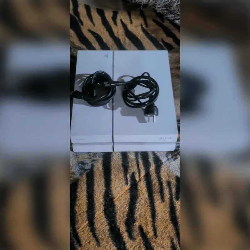 Foto de la publicación