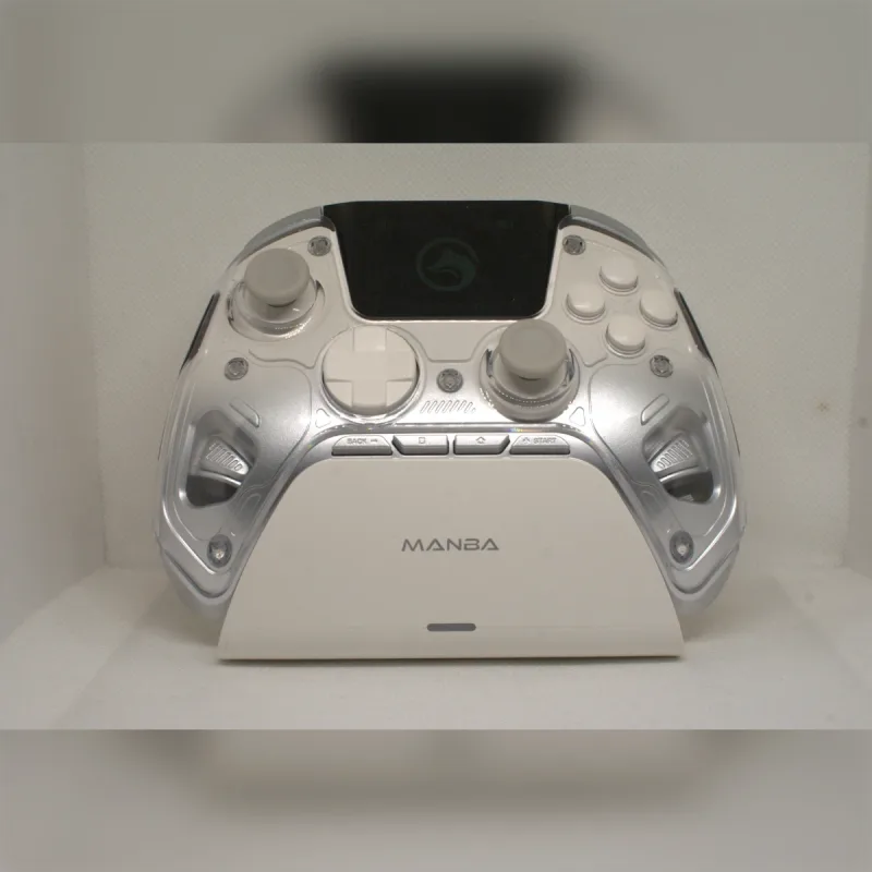 Foto de la publicación