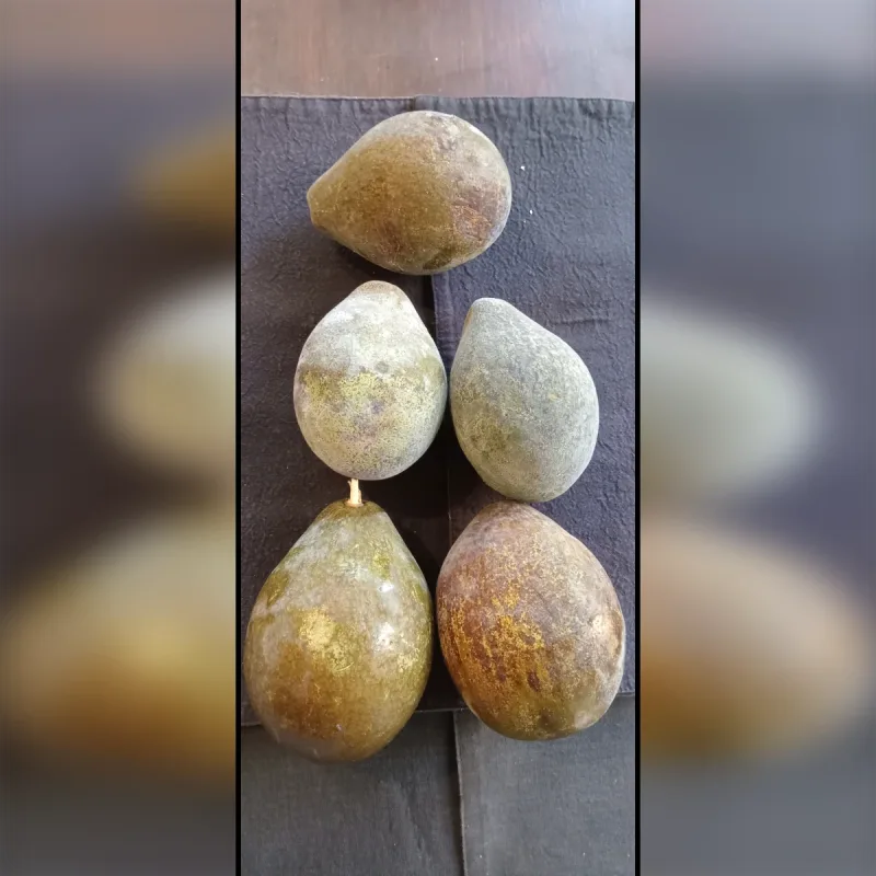 Foto de la publicación