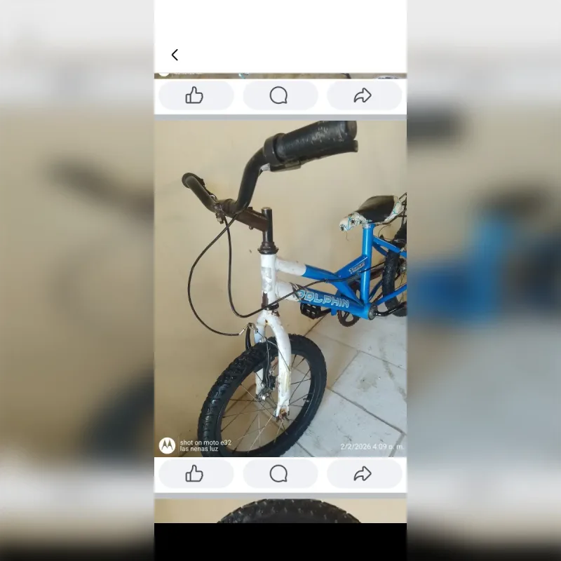 Foto de la publicación