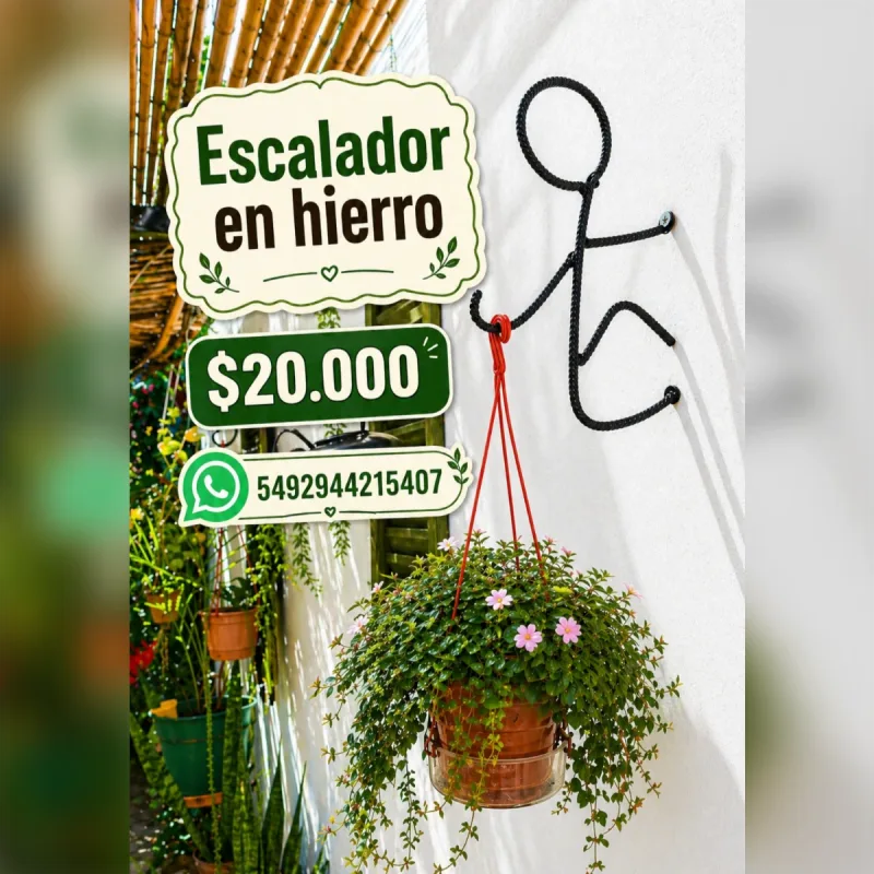 Foto de la publicación