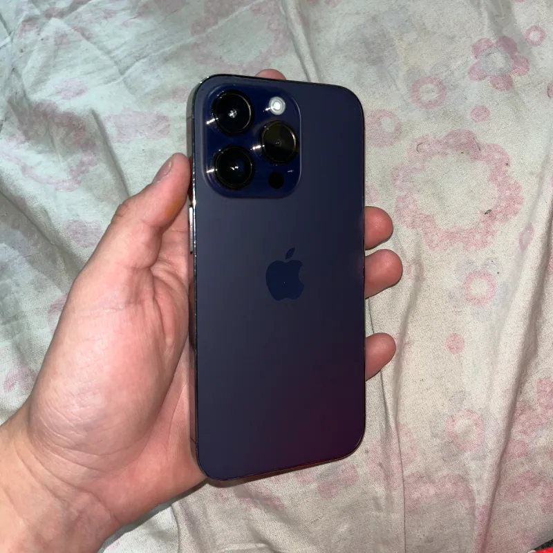 Foto de la publicación