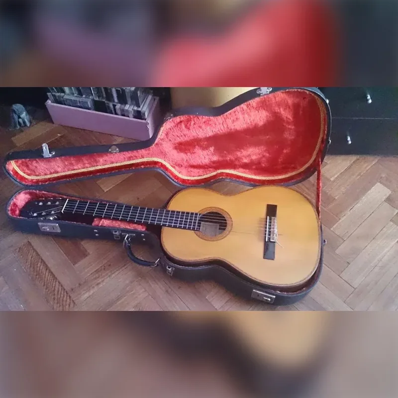 Foto de la publicación