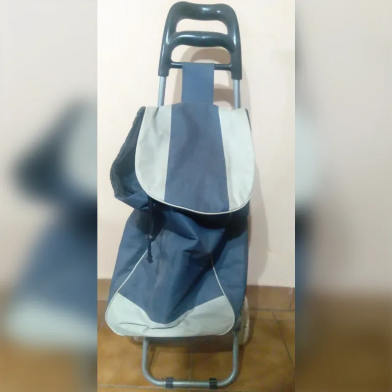 Foto de la publicación