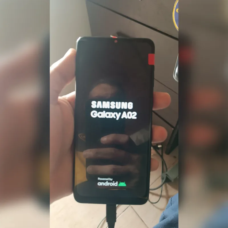 Foto de la publicación