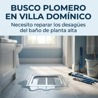 Busco plomero zona Villa Domínico