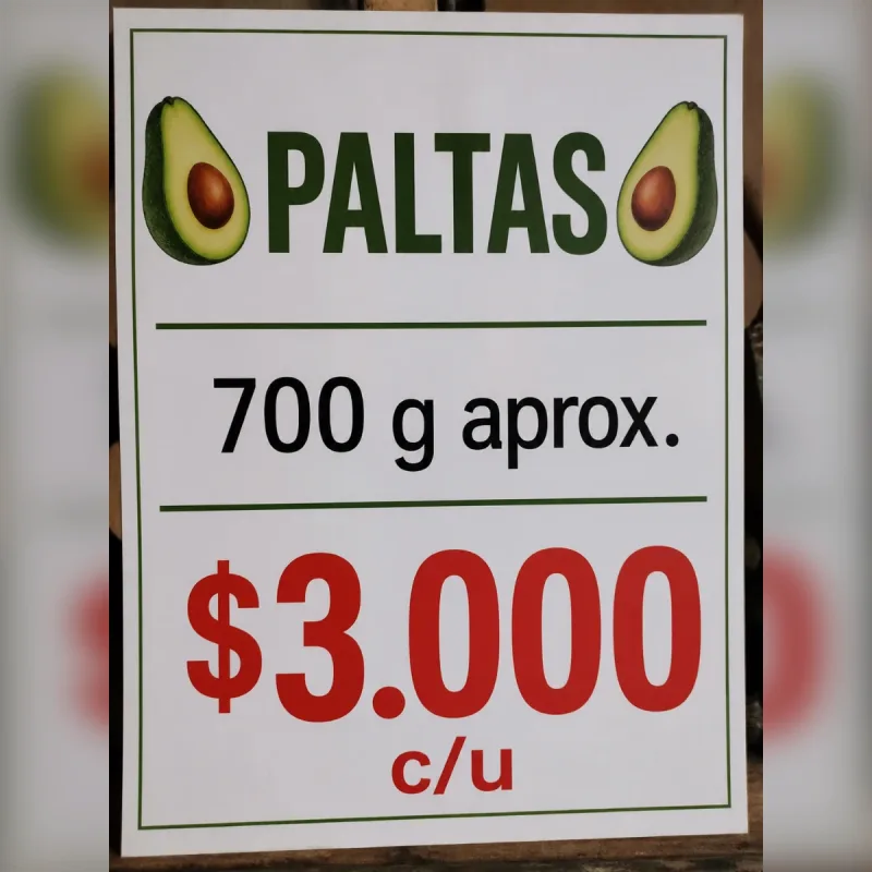 Foto de la publicación