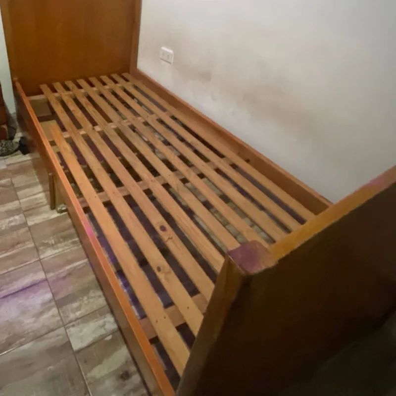 Foto de la publicación