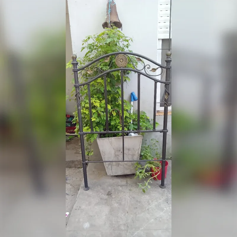 Foto de la publicación