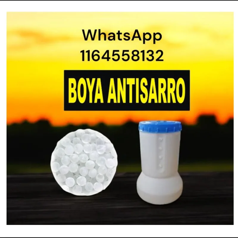 Foto de la publicación