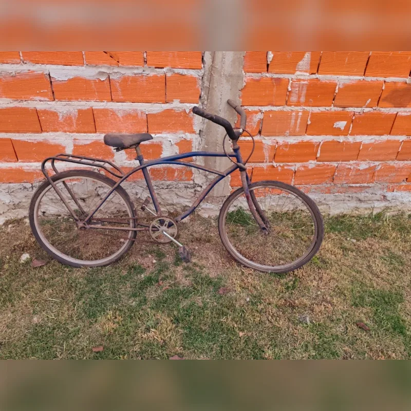 Foto de la publicación