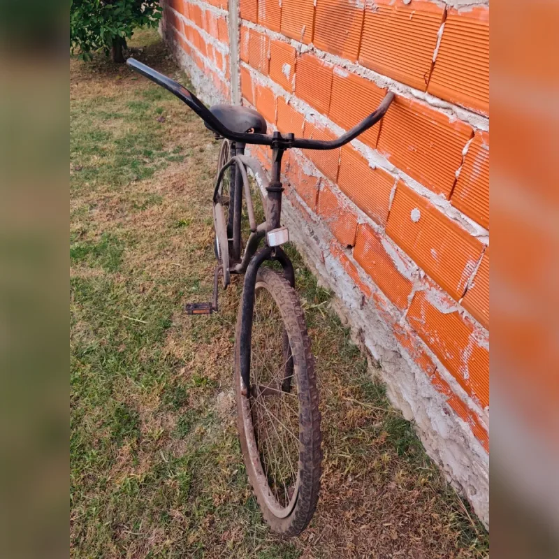 Foto de la publicación