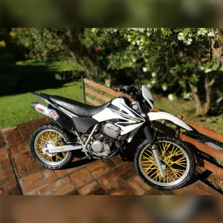 Honda Tornado 2008, Titular