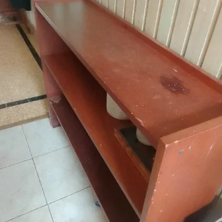 Foto de la publicación