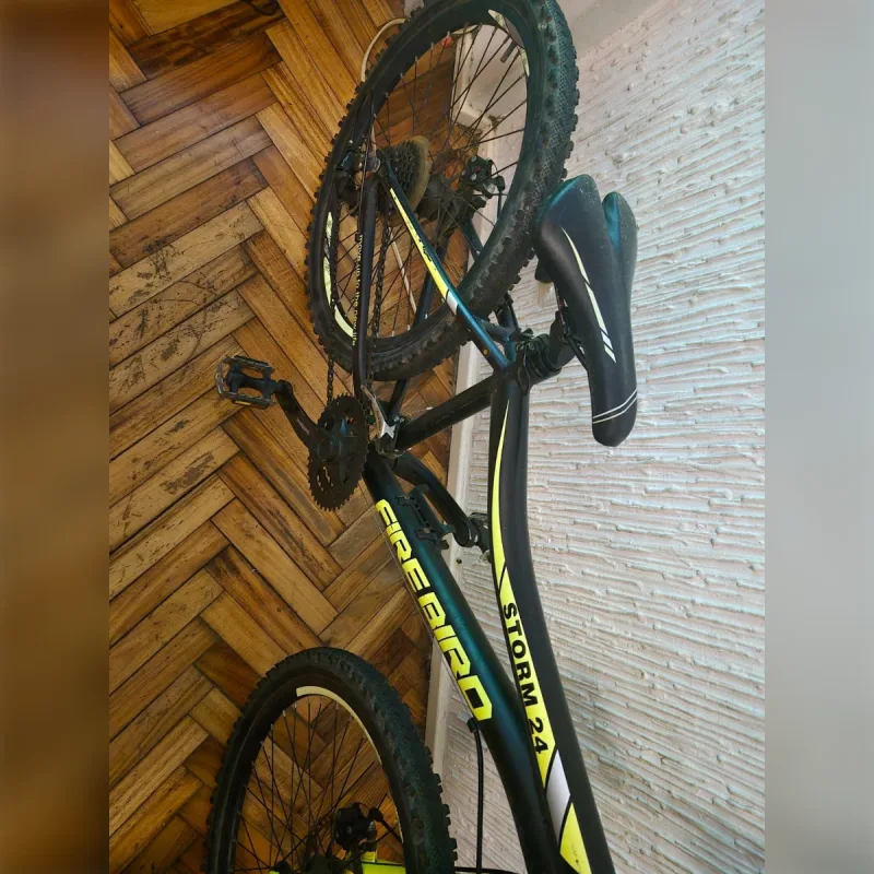 Foto de la publicación