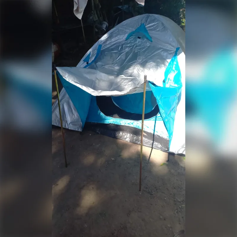 Foto de la publicación