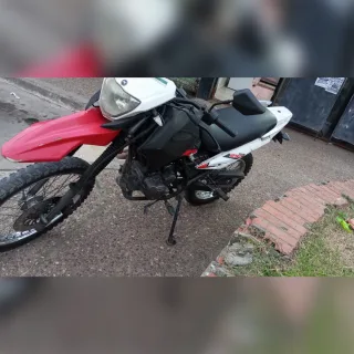 Skua 250
