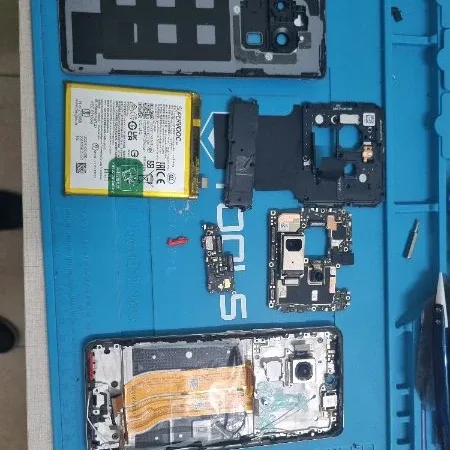 Foto de la publicación