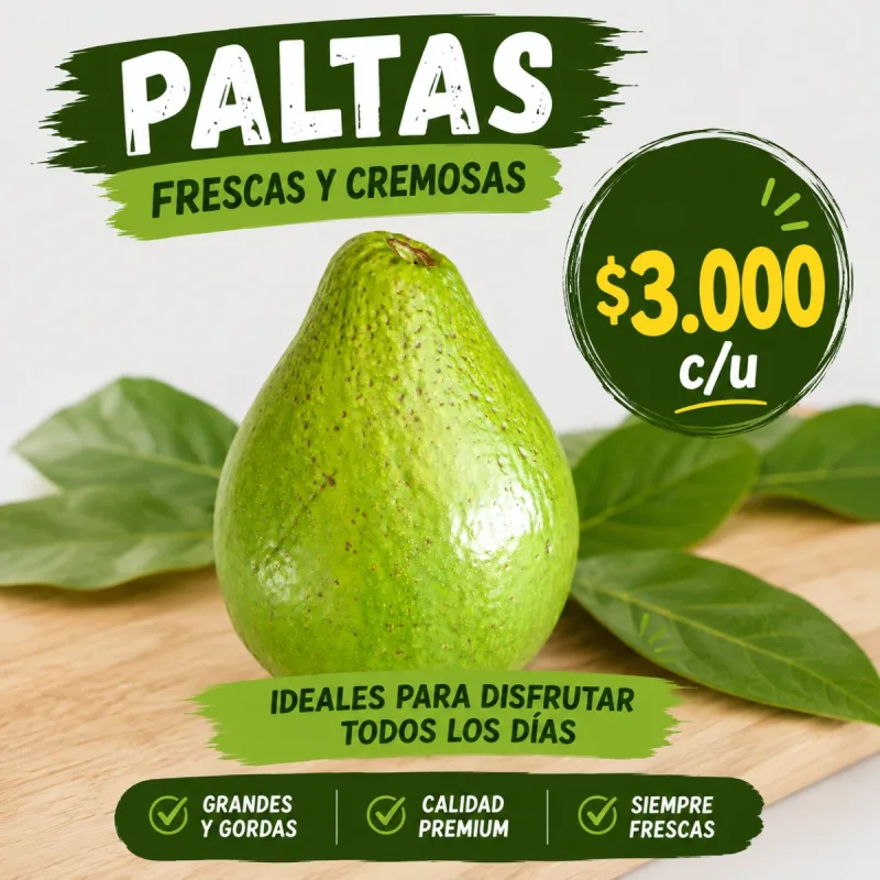Foto de la publicación