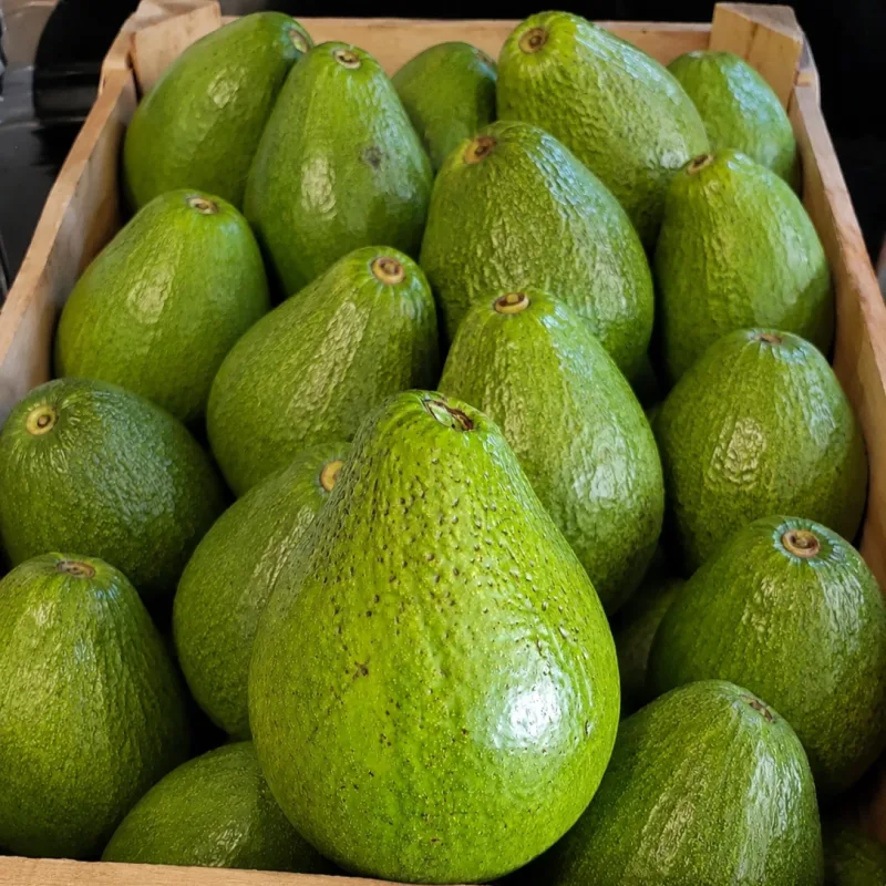 Foto de la publicación