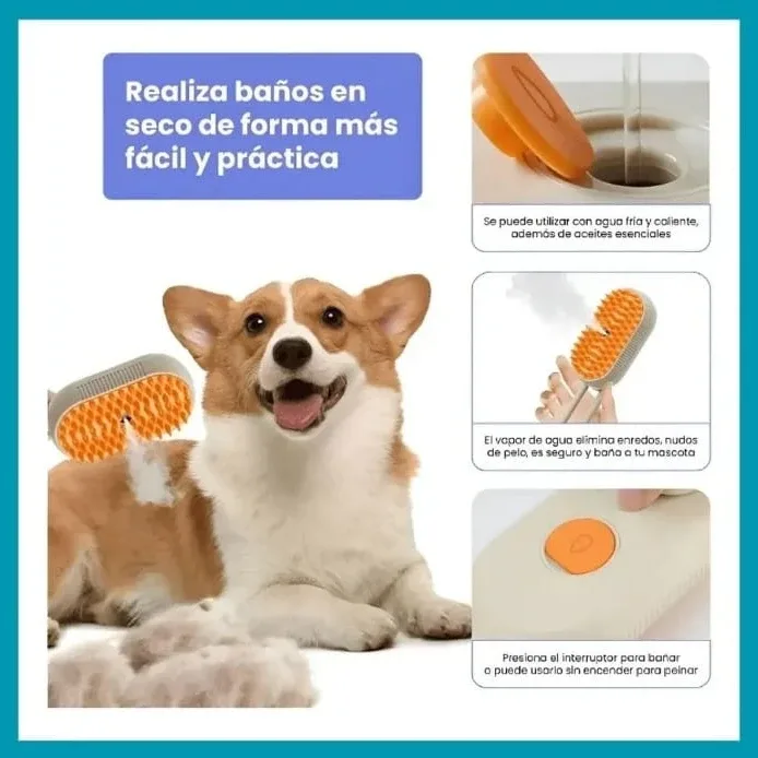 Foto de la publicación