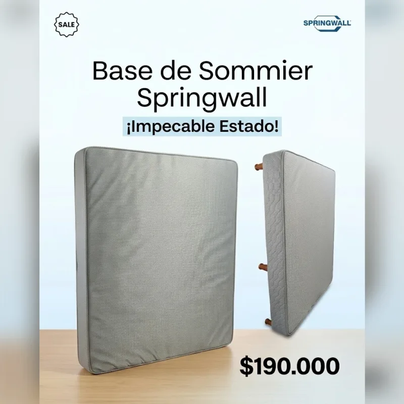 Foto de la publicación