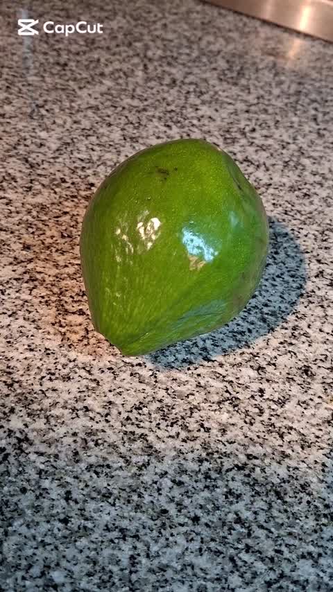 Palta orgánica